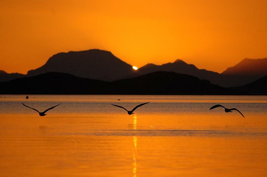 El Vivero Del Mar Menor La Manga del Mar Menor Dış mekan fotoğraf