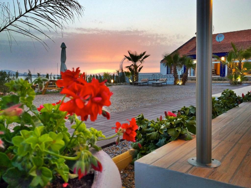 El Vivero Del Mar Menor La Manga del Mar Menor Dış mekan fotoğraf